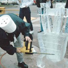 Ice Luge Long Island, NY Facts