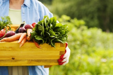 Why You Should Start Shopping at a Local Farmer’s Market