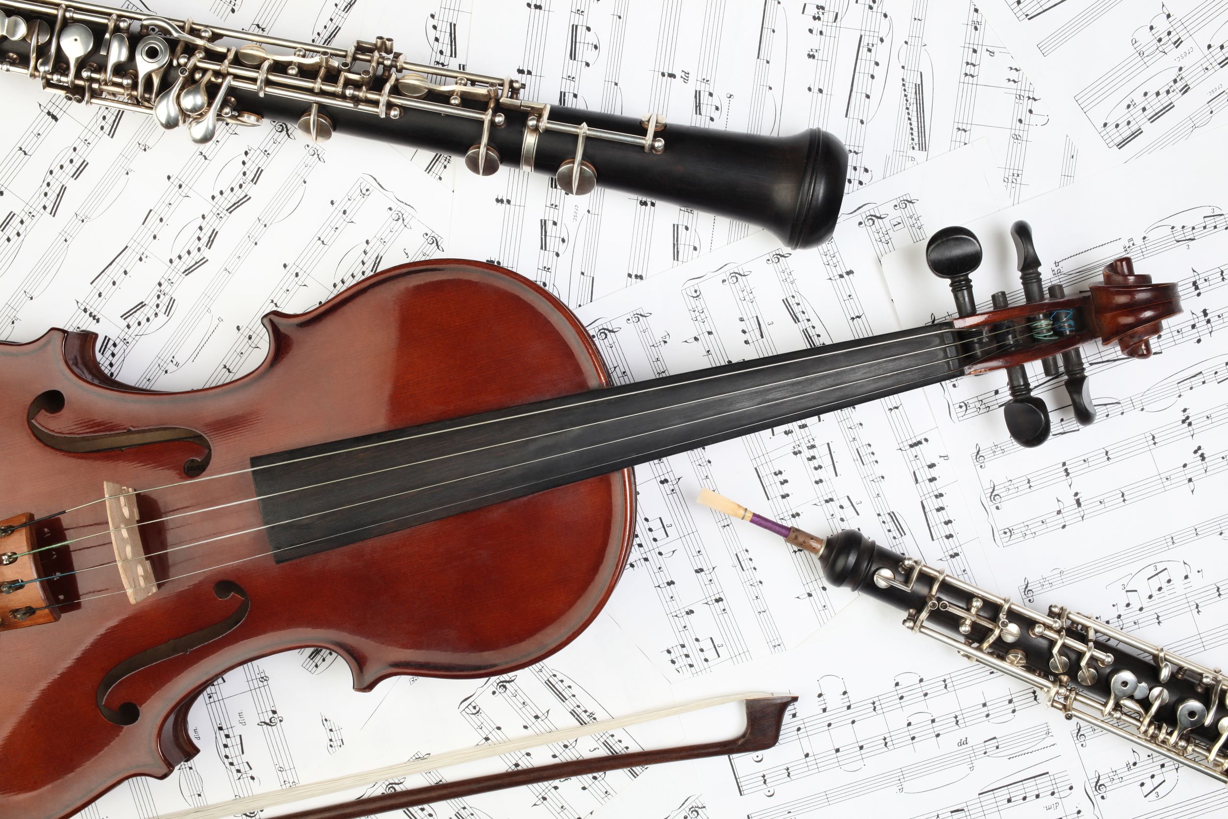 Where to Seek Violin Repairs